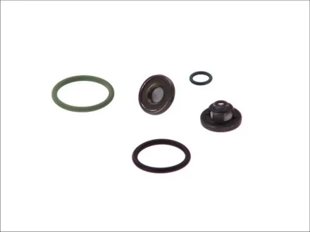 Ремкомплект BOSCH 2447010021