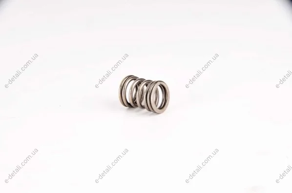 Пружина BOSCH 2464633002 (фото 1)