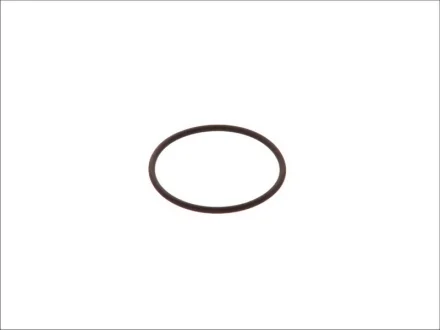 Прокладка насоса топливного Audi/Daf/Ford/Jaguar/MB/Seat/Skoda/VW (45x2.5) BOSCH F00HN35933