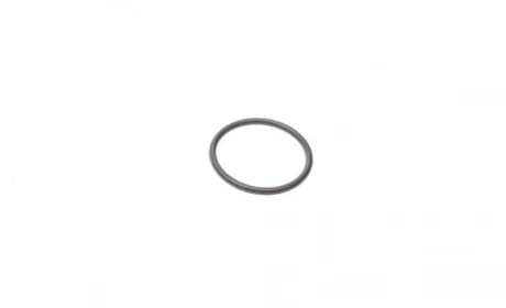 Прокладка форсунки уплотнительная BMW 3 (E46-E92)/5 (E60) 03- (кольцо) BOSCH F 00V C38 042