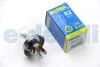 Автолампа P45T 12V 45/40W R2 BOSMA 1116 (фото 1)