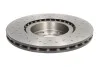 Тормозные диски BREMBO 0949392X (фото 1)