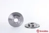 Тормозной диск BREMBO 09.9998.10 (фото 2)