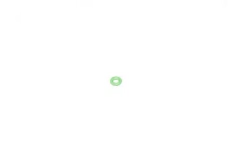 Сальник трубки обратки TRANSIT 2.2-2.4 06-14 BSG BSG 30-995-050