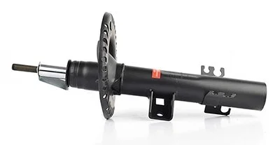 Амортизатор передній BSG BSG 90-300-019