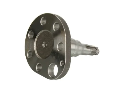 Затичка маточини заднього колеса BTA H5W028BTA