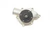 Помпа води BMW 5 (E12/E28/E34)/6 (E24)/7 (E23/E32) 2.5-3.6 78-95 (R/B) (14 лоп) M30/S38 BUGATTI PA0207 (фото 4)