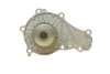 Помпа воды Citroen C1/C2/C3/Nemo/Ford Fiesta/Peugeot 1007/206/307 1.4HDi/TDCI 02- BUGATTI PA10013 (фото 5)