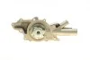 Помпа воды MB C-class (W203/W204) 2.2CDI OM646 03-09/E-class (W211) 2.2/2.7CDI 02-11 (OM646/OM647) BUGATTI PA10023 (фото 5)