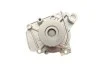 Помпа води Honda Accord VI 1.6/i/LS/Civic V/VI 1.4-1.6 16V 95-02/HR-V 1.6 16V 99- (B/B)(7лоп) BUGATTI PA10035 (фото 4)