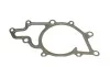 Помпа воды MB E-class (W210/S210) 3.2CDI 99-03 (B/B) (8 лоп) BUGATTI PA10037 (фото 10)