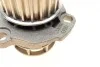 Помпа воды Audi A3/A4/A6 2.0TFSI 04-13/Skoda Octavia 2.0RS 05-13/VW Golf 2.0R 07- (23z) (R/B) (8лоп) BUGATTI PA10065 (фото 6)