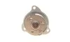 Помпа воды Ford Fiesta V/Fusion 1.3 01-08 (R/B) (6 лоп.) BUGATTI PA10073 (фото 4)