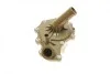 Помпа воды Citroen Jumper 2.2HDI/Fiat Ducato 2.2D/Ford Transit 2.2TDCi 06- (5 лоп.) (с корпусом) BUGATTI PA10111 (фото 6)