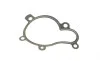 Помпа воды Hyundai Tucson/Santa Fe/i30/Elantra/Kia Sportage/Cee'd 2.0-2.2CRDi 05- (R/B)(6 лоп) BUGATTI PA10121 (фото 14)