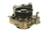 Помпа воды Citroen Jumper/Peugeot Boxer 3.0HDi/Fiat Ducato 2.3D/3.0D/Iveco 06- (R/B) (7 лоп) (6 кан) BUGATTI PA10125 (фото 4)