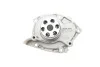 Помпа води Renault Megane/Scenic 1.9 dCi 08-/Suzuki Grand Vitara 1.9DDiS 06-15 BUGATTI PA10146 (фото 7)
