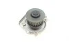 Помпа води Fiat Doblo/Panda/Punto 1.4 05-/Opel Combo 1.4 12-/Ford Ka 1.2 08-16 BUGATTI PA10153 (фото 8)
