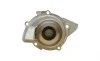 Помпа воды Citroen C4/C5/C8/Jumpy/Fiat Scudo/Peugeot 308/407/Ford Focus 2.0HDI 06-(B/B)(24лоп) BUGATTI PA10170 (фото 2)