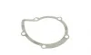 Помпа воды Citroen C4/C5/C8/Jumpy/Fiat Scudo/Peugeot 308/407/Ford Focus 2.0HDI 06-(B/B)(24лоп) BUGATTI PA10170 (фото 6)