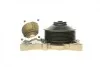 Помпа води BMW 5 (F10/F11)/7 (F01-04)/X5 (E70)/X6 (E71/E72) 2.0d-3.0d 09- (B/B) (6 лоп) (7 кан) M57/N57 BUGATTI PA10180 (фото 5)