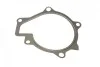 Помпа воды Hyundai ix35/Tucson/Santa Fe II/III/Kia Sportage/Sorento 2.0/2.2 CRDi 09- (R/B) (7 лоп) BUGATTI PA10181 (фото 10)
