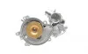 Помпа воды BMW (E53) X5 4.4i/4.8is/5 (E60-61) 545i/6 (E63-64) 645ci/7 (E65-67) 01-10 (R/B) (8 лоп.) BUGATTI PA10206 (фото 13)