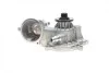 Помпа воды BMW (E53) X5 4.4i/4.8is/5 (E60-61) 545i/6 (E63-64) 645ci/7 (E65-67) 01-10 (R/B) (8 лоп.) BUGATTI PA10206 (фото 11)