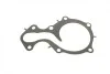 Помпа воды Ford C-Max II/Focus III/Mondeo V/Fiesta/Transit Courier 1.0 EcoBoost/1.1 12- (R/B)(6 лоп) BUGATTI PA10223 (фото 6)