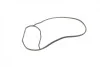 Помпа воды Audi A3/A4/Q5/A6/VW Golf/Passat/Skoda Octavia IV 1.8-2.0TSI/TFSI 12-(B/B)(5 лоп) BUGATTI PA10225 (фото 12)