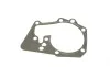 Помпа води Renault Clio/Megane/Scenic/Kangoo/Laguna 1.4/1.6i 01-/Nissan Kubistar 03-09 (R/B)(8 лоп) BUGATTI PA10235 (фото 8)