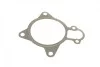 Помпа воды Iveco Daily III/IV 3.0JTD 04-/Massif 3.0HPI/HPT 08-11 (B/B) (7 лоп) BUGATTI PA10257 (фото 11)