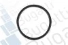 Помпа води BMW 3 (E90/E92/E93)/5 (E60/E61)/6 (E63/E64) M series 4.0/5.0 04-13(R/B) (6 лоп.) BUGATTI PA10367 (фото 3)