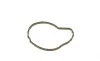 Помпа воды Citroen/Peugeot 1.5BlueHDi/Ford 1.5Ecoblue/Opel 1.5D/HDi 18- (18z) (R/B) (9 лоп.) BUGATTI PA10378 (фото 13)