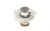 Помпа воды Audi A4/A6/Skoda Felicia/VW Golf/Caddy/Passat/Polo 1.9D/TDI/SDI 95- (R/B)(6лоп) BUGATTI PA5108 (фото 12)