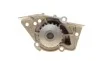 Помпа воды Citroen Xantia/Xsara/Peugeot 306/406 1.8i 16V 95-03 (20z) (B/B) (6 лоп) BUGATTI PA5505 (фото 6)