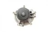 Помпа воды Citroen Jumper/Peugeot Boxer 2.5D/TD/TDI/4x4 96-02 (B/B) (8 лоп) BUGATTI PA5508 (фото 12)
