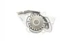 Помпа воды Citroen C4/C5/C8/Jumpy/Berlingo 2.0HDi/Fiat Scudo/Ducato 1.9D/2.0JTD 98- (B/B)(7лоп) BUGATTI PA5509 (фото 4)