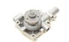 Помпа воды Renault Master/Trafic/Iveco Daily 2.5D 79-01 BUGATTI PA5919 (фото 8)