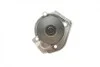 Помпа води Fiat Doblo 1.2 01-05/Panda/Punto 1.1/1.2 04- (24z) (B/B) (8 лоп.) BUGATTI PA5942 (фото 10)