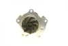 Помпа воды Ford Transit V/VI/VII 2.0/2.3 16V 94-06/Scorpio I/Sierra II 2.0i 85-94 (R/B) (8 лоп.) BUGATTI PA6002 (фото 8)