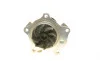 Помпа воды Ford Transit V/VI/VII 2.0/2.3 16V 94-06/Scorpio I/Sierra II 2.0i 85-94 (R/B) (8 лоп.) BUGATTI PA6002 (фото 9)