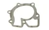 Помпа воды Ford Transit 2.5D/TD 85-00/LDV Convoy 2.5DI/TDI 98-09 BUGATTI PA6003 (фото 7)