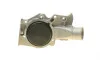 Помпа воды Ford Mondeo I/II 1.6i/1.8i/2.0i 16V 93-00 (R/B) (7 лоп.) BUGATTI PA6009 (фото 12)