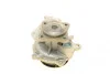Помпа води Ford C-Max I/Focus I/II/Mondeo/Transit/Tourneo Connect 1.8DI/TDCi/TDDi 99- (R/B) (6 лоп.) BUGATTI PA6012 (фото 16)