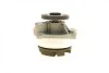 Помпа води Ford Focus I/Mondeo II/Transit/Tourneo Connect 1.6/1.8/2.0 16V 02-13 (R/B) (6 лоп.) BUGATTI PA6013 (фото 6)