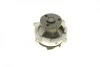 Помпа води Ford Focus I/Mondeo II/Transit/Tourneo Connect 1.6/1.8/2.0 16V 02-13 (R/B) (6 лоп.) BUGATTI PA6013 (фото 9)