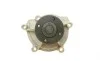 Помпа воды MB Vaneo (W414) 1.6/1.7CDI/1.9 02-05/A-class (W168) 1.4/1.6/1.7CDI/1.9 97-04 (M166/OM668) BUGATTI PA6820 (фото 5)