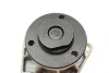 Помпа води Opel Omega B/Vectra A/B/C 2.5/2.6/3.0/3.2 V6 93-06 (R/B) (6 лоп) BUGATTI PA7209 (фото 12)