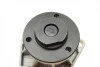 Помпа води Opel Omega B/Vectra A/B/C 2.5/2.6/3.0/3.2 V6 93-06 (R/B) (6 лоп) BUGATTI PA7209 (фото 8)